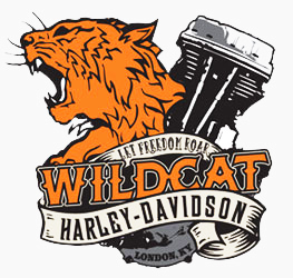 wildcat wildcat