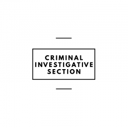 Criminal Investigative Section (CIS)
